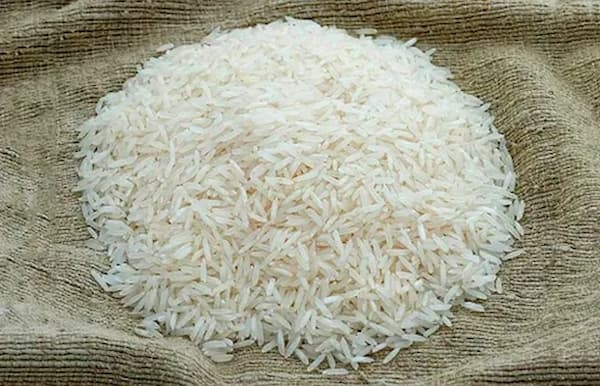 تصویر 2 از خرید و قیمت برنج چمپا اصل + فروش عمده